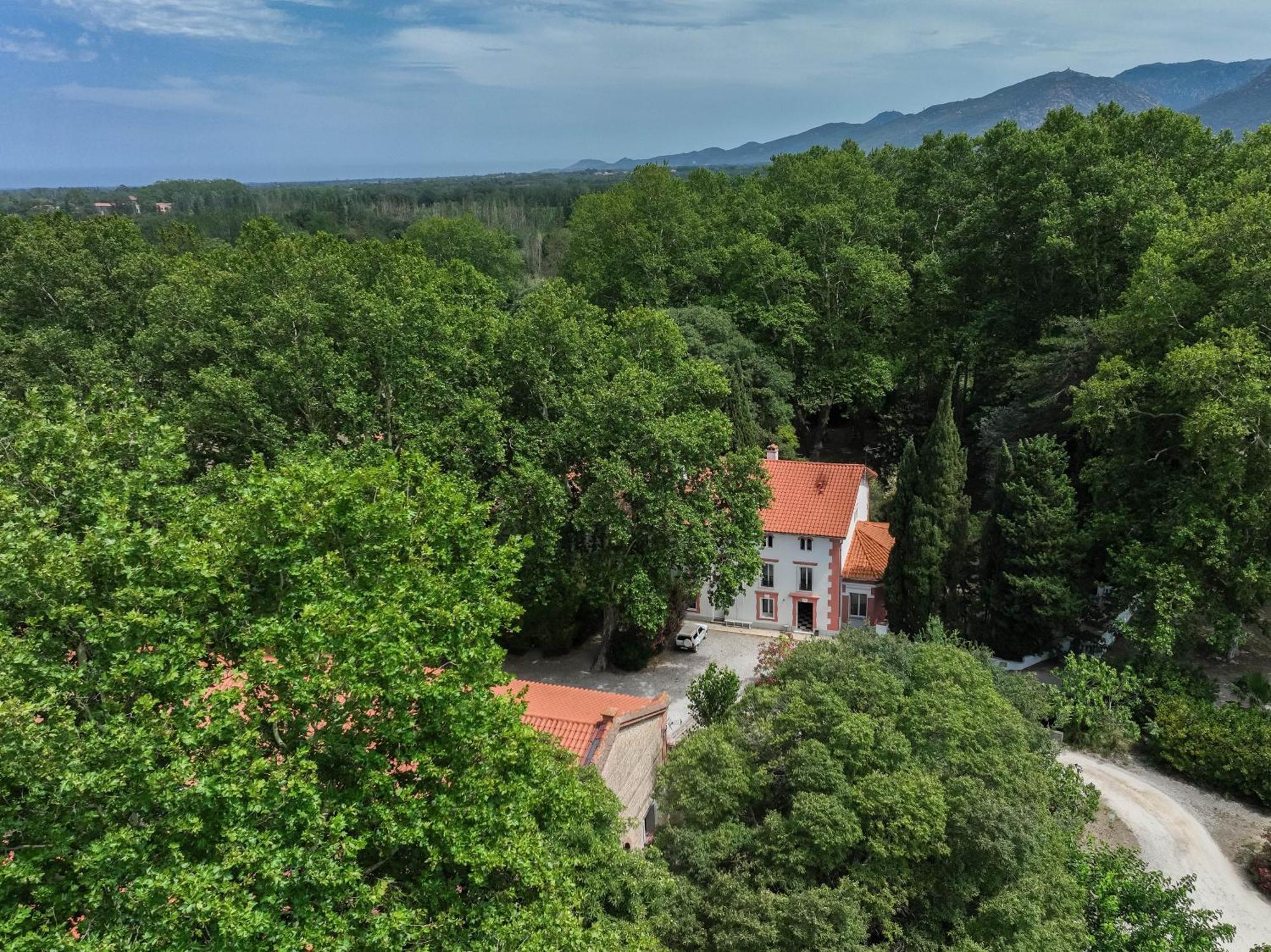 Gites Du Castell De Bles Saint-Genis-des-Fontaines Bagian luar foto